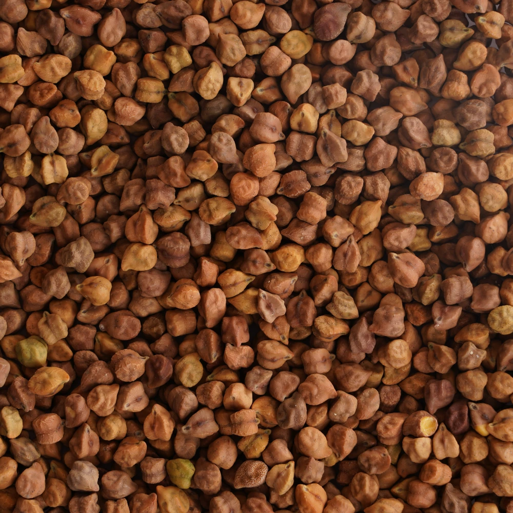 Chana (4)