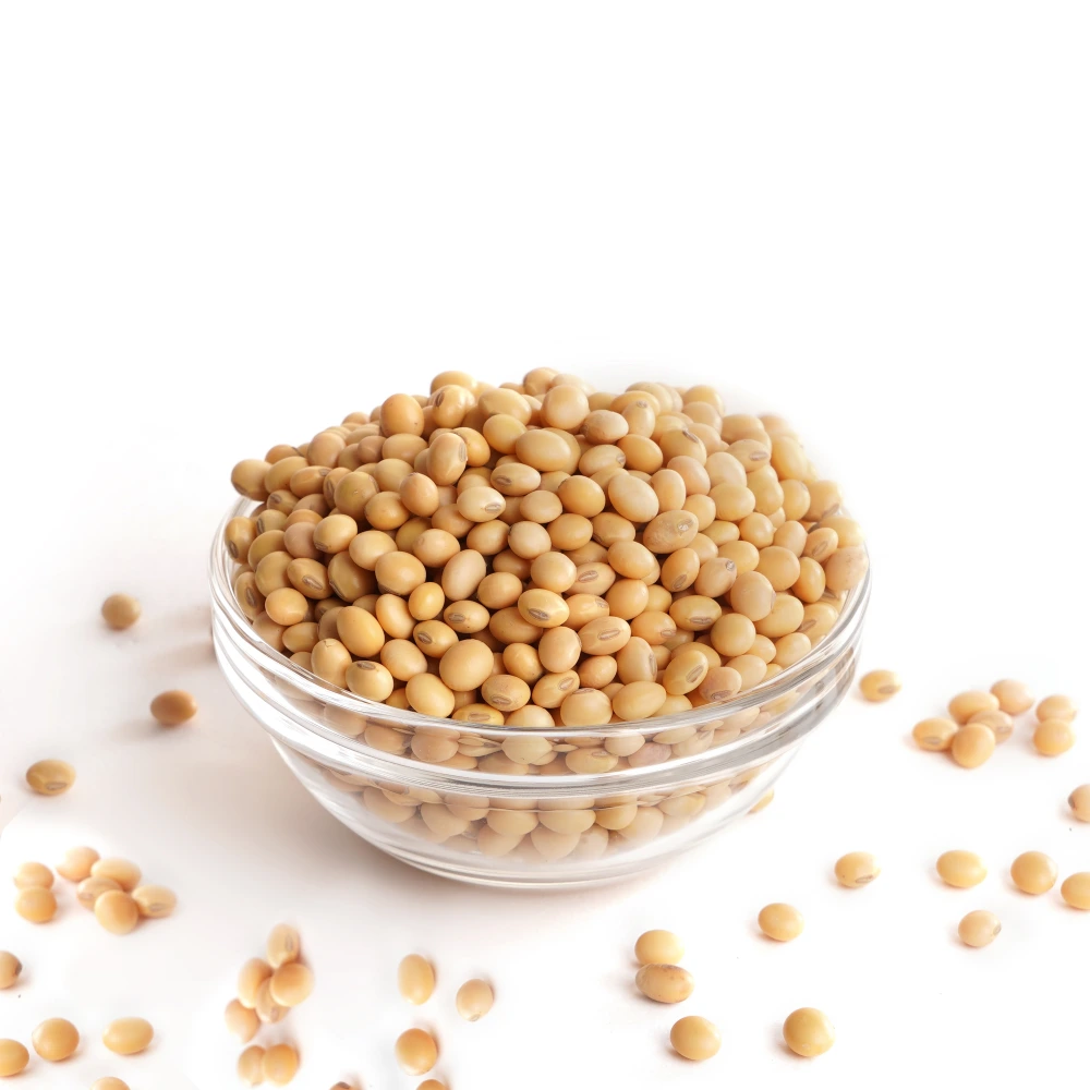 Soyabean (1)