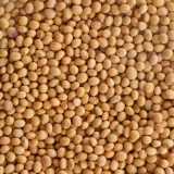 Soyabean (4)