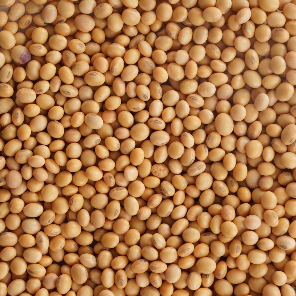 Soyabean (4)